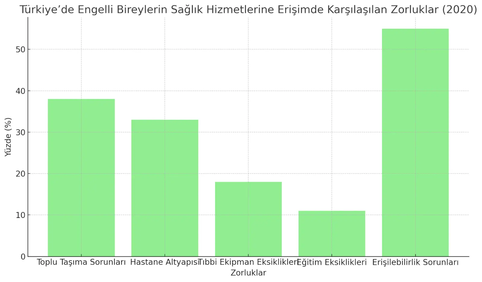 trde karsilasilan zorluklar