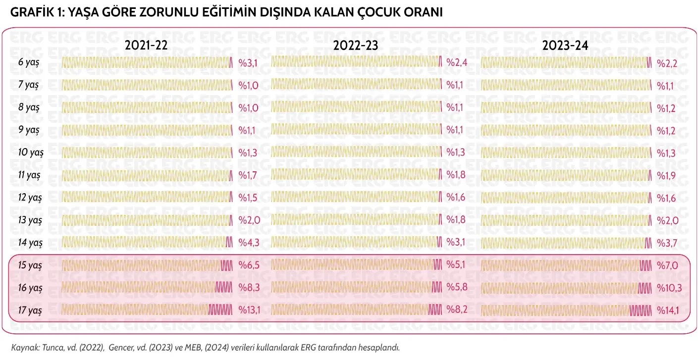 Türkiye’de eğitimde eşitsizlik derinleşiyor: NEET kadınlar ve Muş’ta yükselen eğitim dışı oranı 1 yasa gore zorunlu egitim disinda kalan cocuk